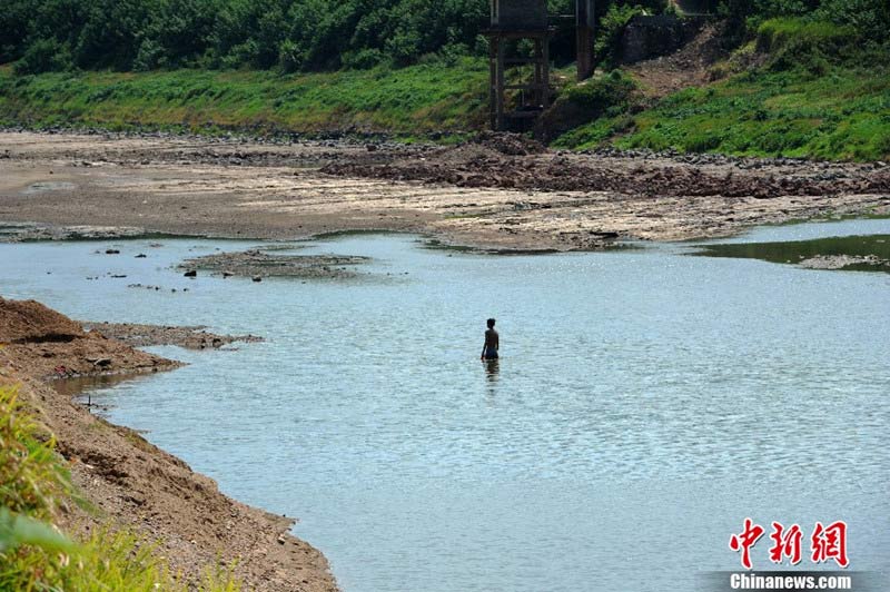 8月1日,湖南省湘潭縣河口鎮(zhèn)涓水河段的部分河床已干涸見底。據(jù)湘潭縣防辦介紹,截至7月30日,涓水已出現(xiàn)50年來最嚴重的斷流,全縣共計23萬畝農(nóng)田受影響。中新社發(fā) 楊華峰 攝
