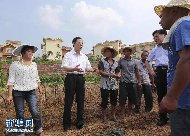 7月5日至8日，中共中央政治局常委、國務(wù)院副總理張高麗在四川調(diào)研。這是7月6日，張高麗在雙流縣南天寺村考察。 新華社記者丁林?jǐn)z