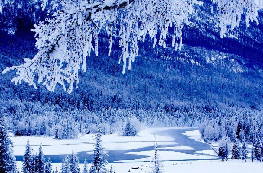 阿勒泰地區"最美雪鄉"靚照國內數十家旅游網和旅行社推出中國十大最美雪鄉，新疆阿勒泰地區因為雪資源豐富被稱為“人類滑雪最早起源地”有幸入選中國十大最美雪鄉。