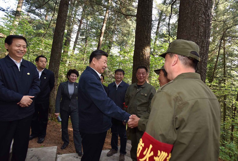 5月23日至25日，中共中央總書記、國家主席、中央軍委主席習近平在黑龍江考察調(diào)研。這是5月23日下午，習近平在上甘嶺林業(yè)局溪水國家森林公園視察時，叮囑林場工作人員一定要把森林資源保護好。 新華社記者 李濤 攝