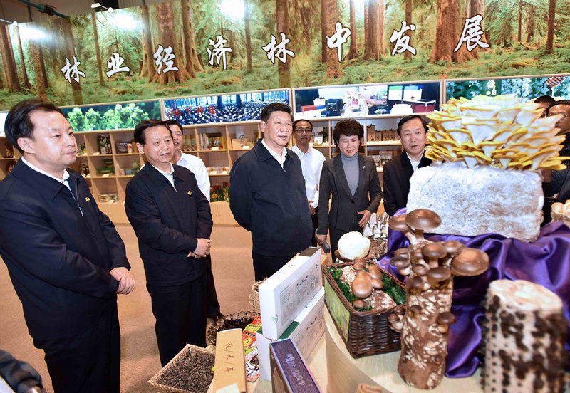 5月23日至25日，中共中央總書記、國家主席、中央軍委主席習(xí)近平在黑龍江考察調(diào)研。這是5月23日上午，習(xí)近平在伊春市生態(tài)經(jīng)濟(jì)開發(fā)區(qū)規(guī)劃展示廳觀看生態(tài)產(chǎn)品展示，了解林區(qū)全面停伐后產(chǎn)業(yè)接續(xù)發(fā)展情況。 新華社記者 李濤 攝