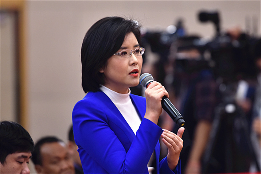 中央電視臺、中國國際電視臺記者提問