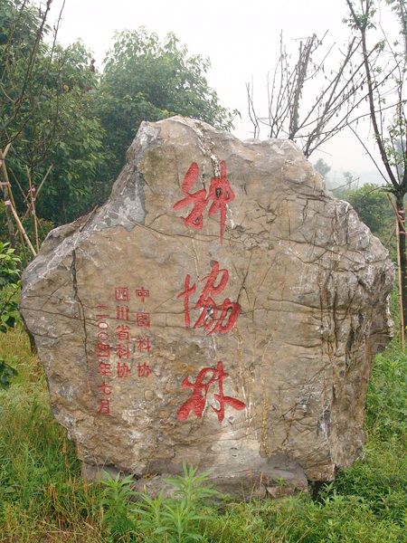 科協林