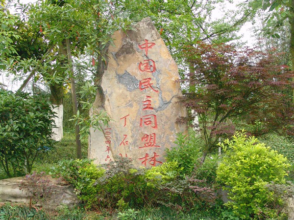 中國民主同盟林