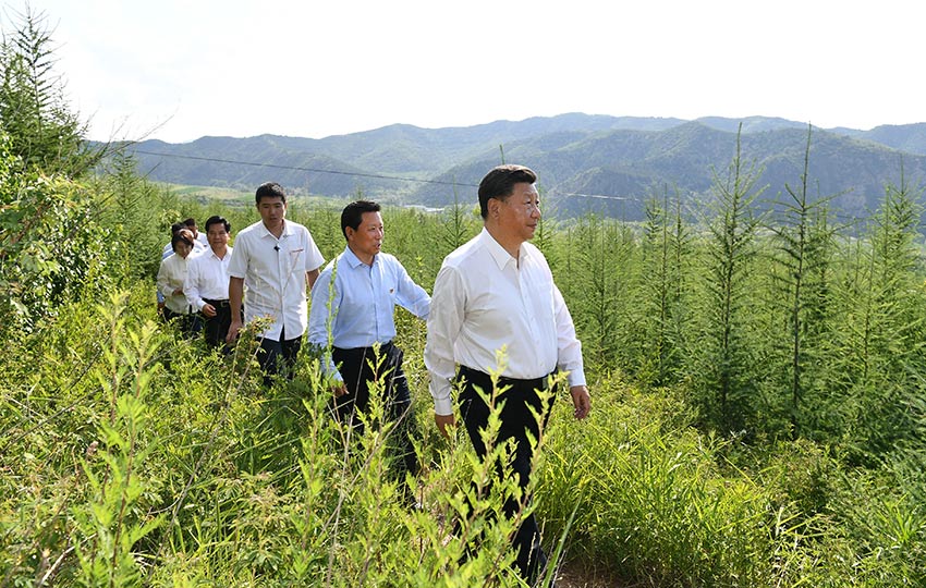 7月15日，中共中央總書記、國家主席、中央軍委主席習(xí)近平赴內(nèi)蒙古自治區(qū)考察調(diào)研。這是習(xí)近平在赤峰市喀喇沁旗馬鞍山林場了解生態(tài)文明建設(shè)情況。 新華社記者 謝環(huán)馳 攝