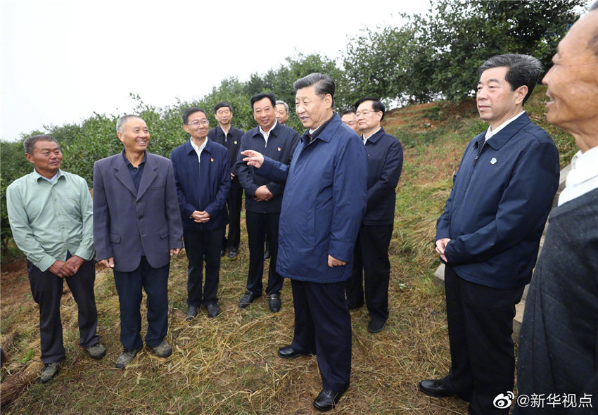 9月17日，中共中央總書記、國家主席、中央軍委主席習近平前往河南省光山縣司馬光油茶園和文殊鄉東岳村，考察調研當地脫貧攻堅工作成效和中辦在光山縣扶貧工作情況，看望慰問老區群眾。這是習近平在司馬光油茶園同農民親切交流。 新華社記者 鞠鵬 攝