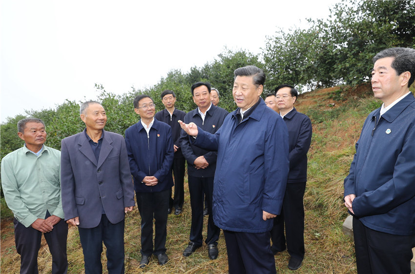 9月17日上午，正在河南考察調研的中共中央總書記、國家主席、中央軍委主席習近平來到光山縣司馬光油茶園，察看當地產業脫貧工作成效。 新華社記者 鞠鵬 攝