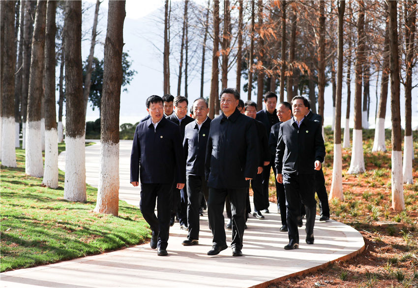 1月19日至21日，中共中央總書記、國家主席、中央軍委主席習近平來到雲南，看望慰問各族干部群眾，向全國人民致以新春祝福。這是20日下午，習近平在昆明滇池星海半島生態濕地考察調研。新華社記者 鞠鵬 攝