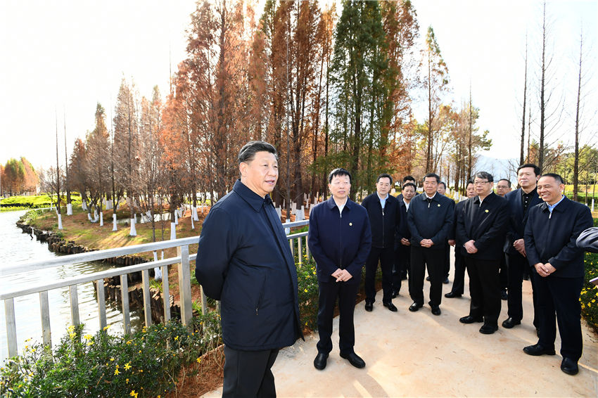 1月20日，正在雲南考察的中共中央總書記、國家主席、中央軍委主席習近平來到昆明，前往滇池星海半島生態濕地，察看滇池保護治理情況。新華社記者 謝環馳 攝