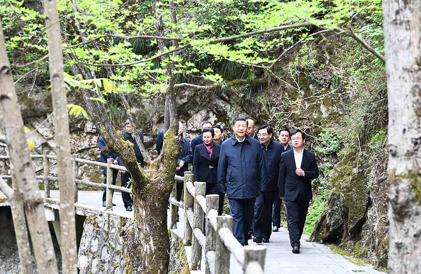 4月20日，中共中央總書記、國家主席、中央軍委主席習(xí)近平在陝西考察調(diào)研。這是習(xí)近平在位於商洛市柞水縣的秦嶺牛背梁國家級(jí)自然保護(hù)區(qū)，考察秦嶺生態(tài)保護(hù)情況。 新華社記者 謝環(huán)馳 攝