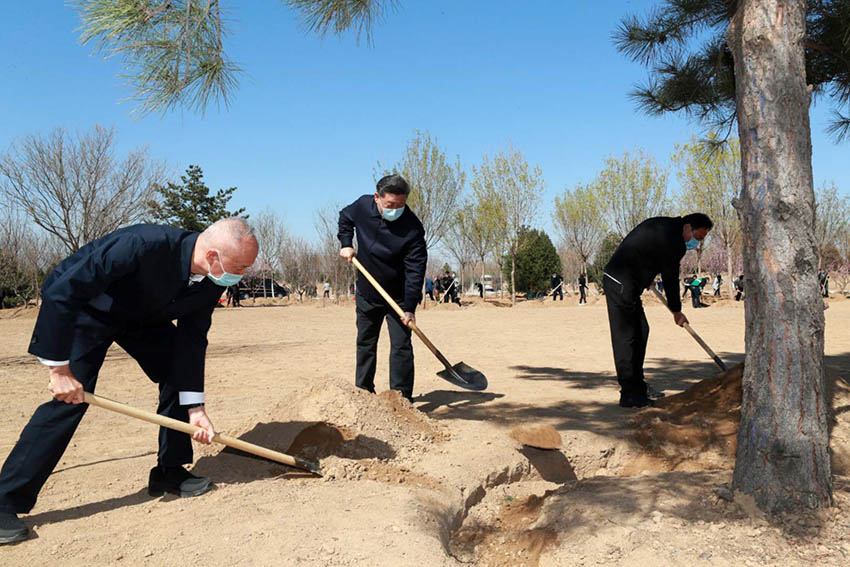 4月3日，黨和國家領導人習近平、李克強、栗戰書、汪洋、王滬寧、趙樂際、韓正、王岐山等來到北京市大興區舊宮鎮參加首都義務植樹活動。這是習近平同大家一起植樹。 新華社記者 龐興雷 攝