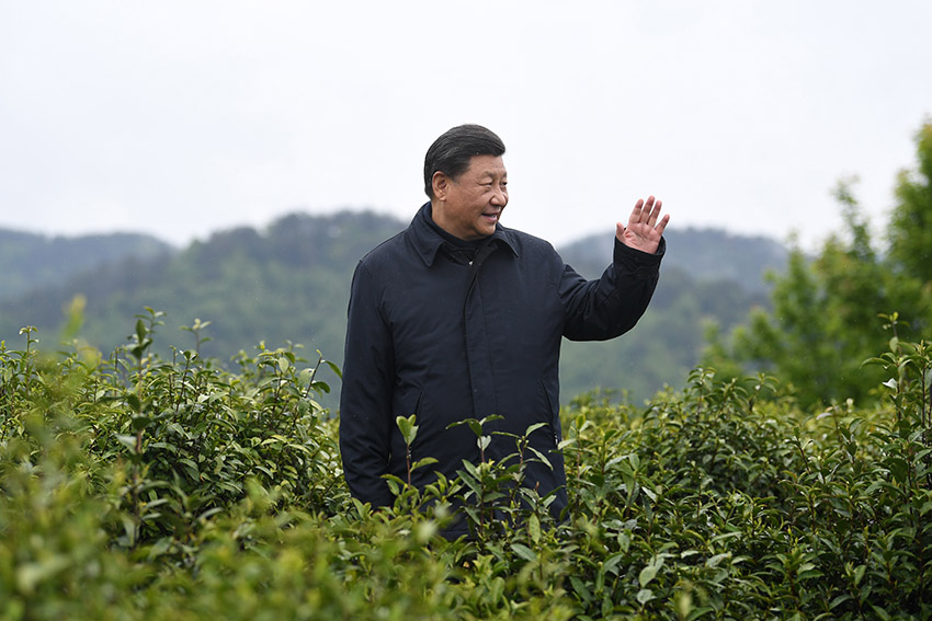 習(xí)近平總書記21日來到陝西省安康市平利縣老縣鎮(zhèn)，在錦屏社區(qū)、鎮(zhèn)衛(wèi)生院、中心小學(xué)和茶園考察當(dāng)?shù)孛撠毠?jiān)等情況。（文字記者：張曉鬆 攝影記者：鞠鵬、謝環(huán)馳、燕雁、翟健嵐）