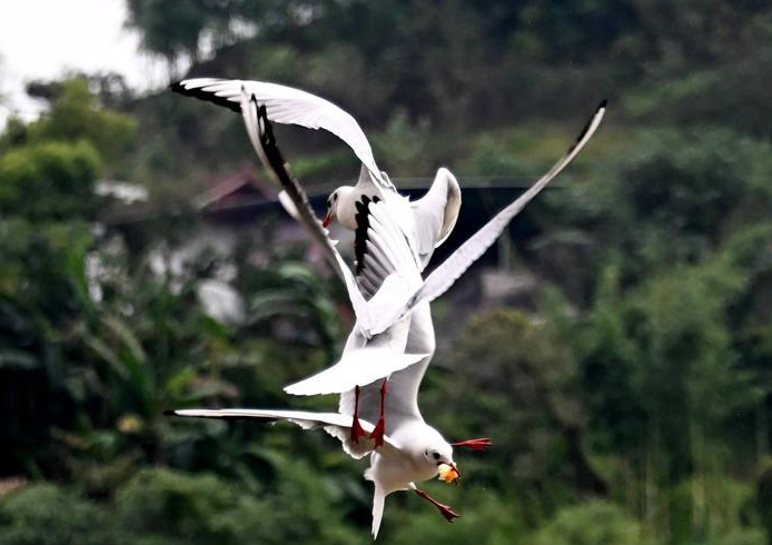 һȺwļttĴʡoДh߅rˮҒʳrrґճһBCȻҲˮrһصľ^