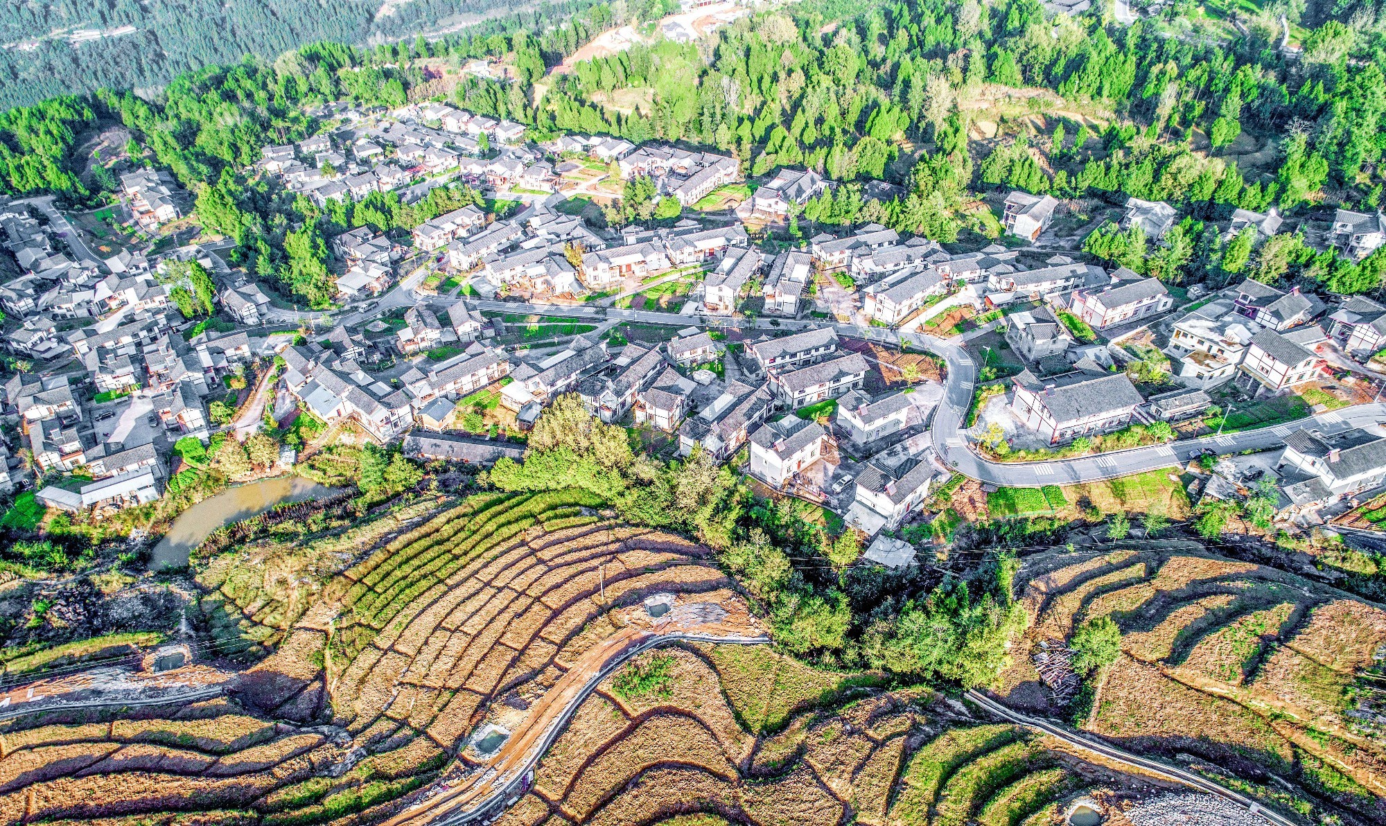 通江縣沙溪鎮王坪村新村聚居點。