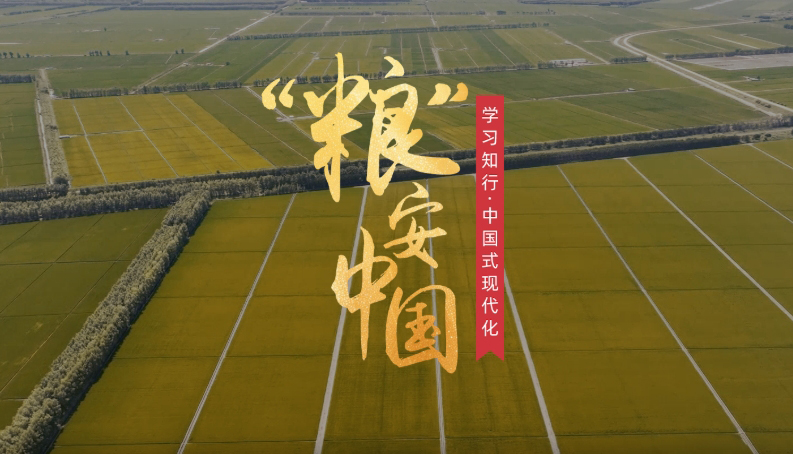 “糧”安中國(guó)糧食安全是“國(guó)之大者”，“持續(xù)增強(qiáng)糧食等重要農(nóng)產(chǎn)品供給保障能力”，是今年中央一號(hào)文件部署的重點(diǎn)任務(wù)。新裝備新模式新技術(shù)正革新傳統(tǒng)農(nóng)業(yè)，為現(xiàn)代化大農(nóng)業(yè)注入全新活力。