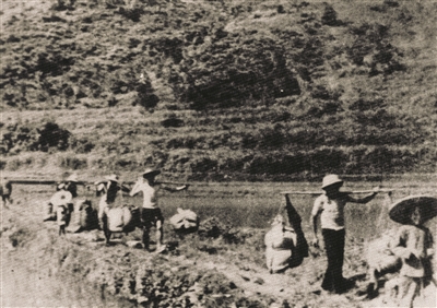 惠寶地區人民送糧食支援子弟兵。深圳東江縱隊紀念館供圖