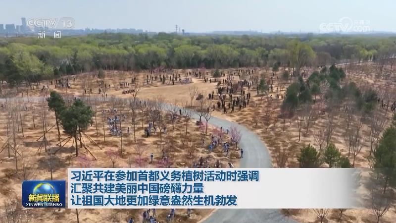習近平在參加首都義務植樹活動時強調 匯聚共建美麗中國磅礡力量 讓祖國大地更加綠意盎然生機勃發